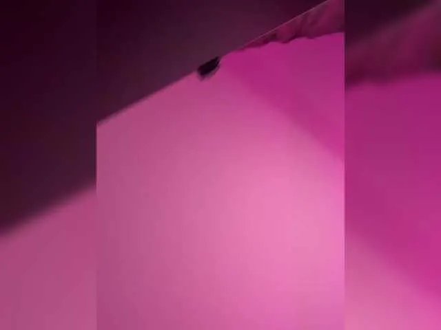 CurvyWoman- — My name is Lina, meow! Welcome to my room, shall we have fun?) Favorite vibration - 20inst: curvywoman_00