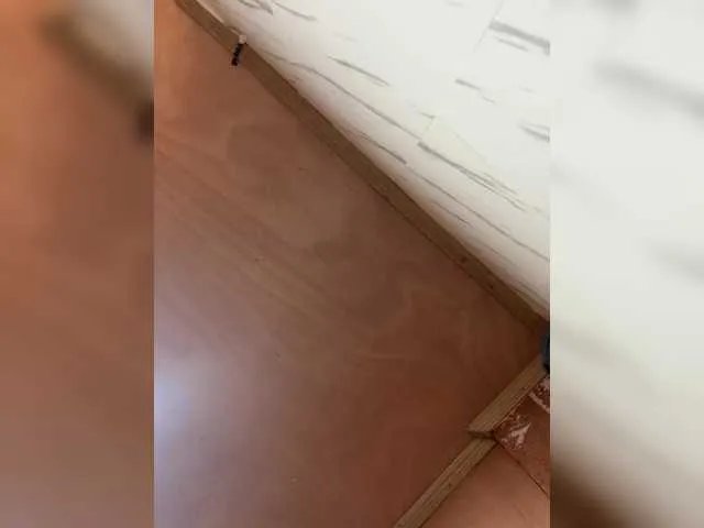 cutiepinayxx — All my holes for you :3 start my lovense with 2 tokens  Make me Squirt with Lush | 1tk kiss | 5tk pm | check my TIP Menu | Lets Cum together in PVT   #asian #pinay #squirt#masturbation #teen #misstress #stripping