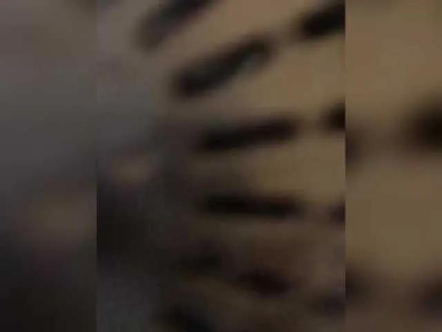 Marinade — Freechat on BongaCams