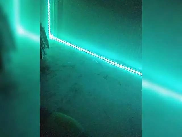 SashaLena728 on BongaCams 