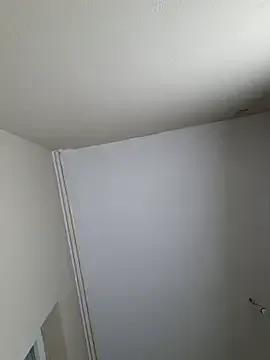 d4ddysgirll on StripChat 