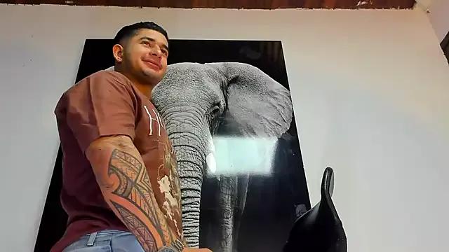 king_falconer — Naked show