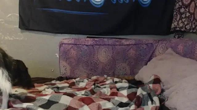 London_Ray on StripChat