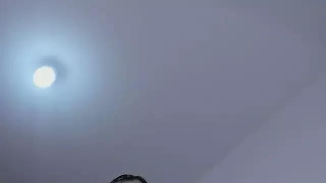 msschloee_ on StripChat 