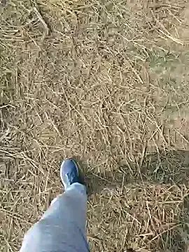 Pagelboy_089 — Show dick 15 second