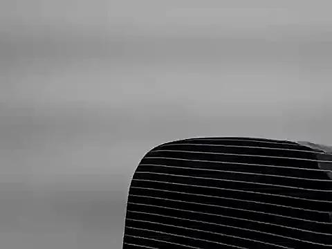 Reddy_Trisha on StripChat 