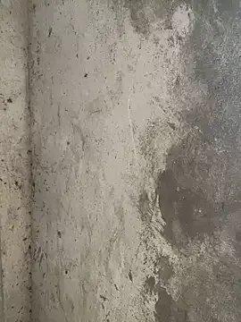 susin-beo — Mong tun ny t mc tiu